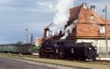 Zaniemyl 1991