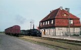 Zaniemyl 1992