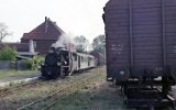 Zaniemyl 1992