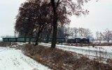 nieciska 1996