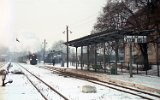 roda Wielkopolska Miasto 1996