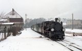 Zaniemyl 1996