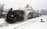 Zaniemyl 1996