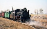 nieciska 1996