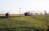 nieciska 1996