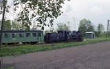 nieciska 1996