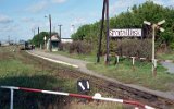 roda Wielkopolska Wskotorowa 1999