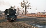 Krasne 1996