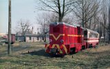 Makw Mazowiecki 1999