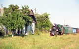 Jasionna 2000