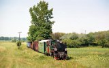 witokrzyska Kolejka Dojazdowa 2000