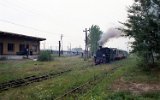 Stawiany Piczowskie 1993