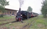 Stawiany Piczowskie 1993
