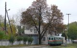 Kroniewice 2007