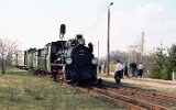 Sawoszewek (Anastasewo-Sompolno 1999)