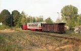 Niezabitw 1991