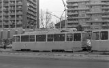 8802XXCraiova 004