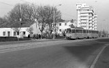 Bulevardul Nicolae Titulescu 1988