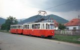 Rășinari 1996