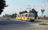 Calea Stan Vidrighin 1996.