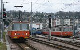 BDWM100320Bremgarten 023