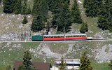 0410 SPB100522SchynigePlatte 021