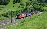 Vor dem Wattinger Tunnel am 10.06.2016