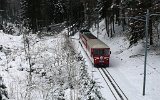 0580 ZB LSE101127Gruenenwald 047