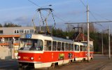 Zenklova 2007