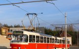 Zenklova 2007