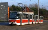 Zenklova 2007