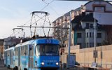 Zenklova 2007