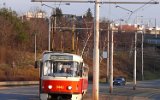 Zenklova 2007