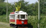 Jelení 2010