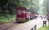 990715LAEV 001